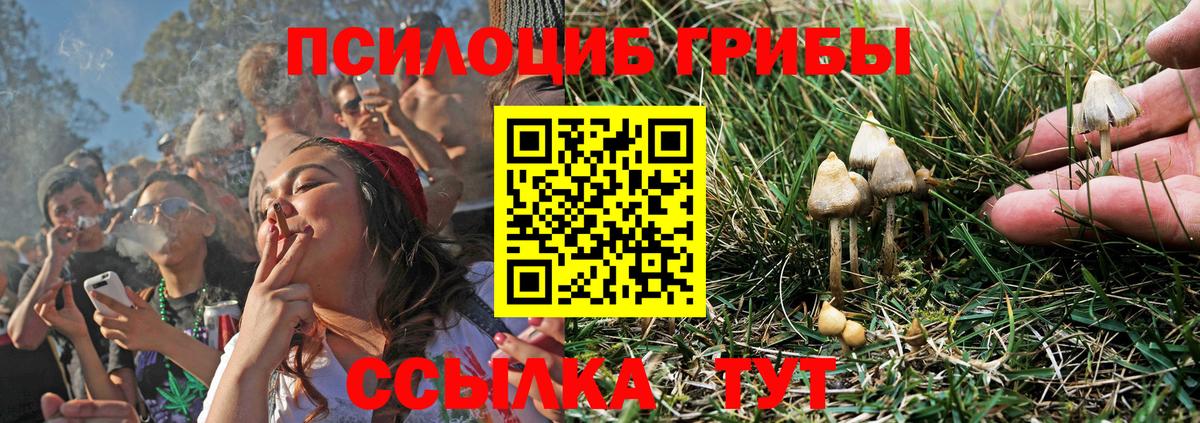 Галлюциногенные грибы Cubensis  Вход с VPN  Кашира 